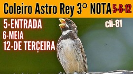 Coleiro Astro Rey 3 NOTA 5-ENTRADA 6-MEIA 12-DE TEREIRA