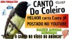 Coleirinha MELHOR corta Canto J� POSTADO NO YOUTUBE