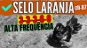 CURI CLSSICO SELO LARANJA ALTA FREQUNCIA 3-3-3-6-9 REPETIES