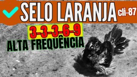 CURI CLSSICO SELO LARANJA ALTA FREQUNCIA 3-3-3-6-9 REPETIES